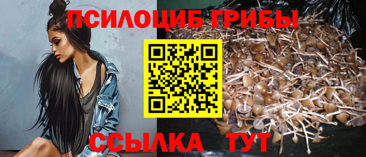 Псилоцибиновые грибы Psilocybe Энгельс